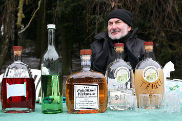 Novoroční pochod