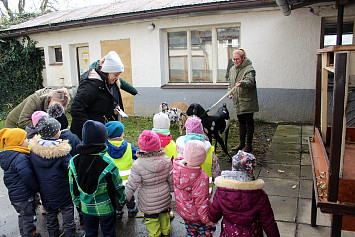 Výstava chvatelů v Kasejovicích