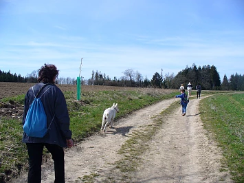 Otvírání studánek