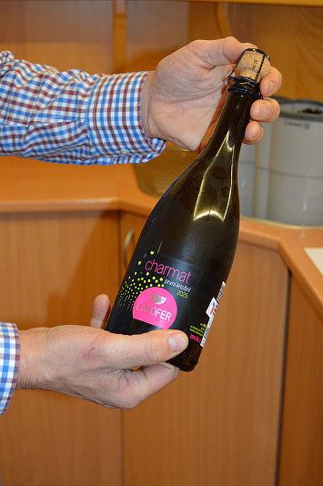 Svatomartinská ochutnávka vína