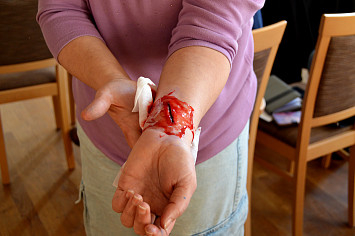 Kurz první pomoci v Kasejovicích