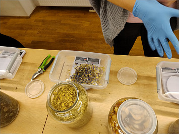 Přednáška a workshop - Bylinné poklady naší přírody