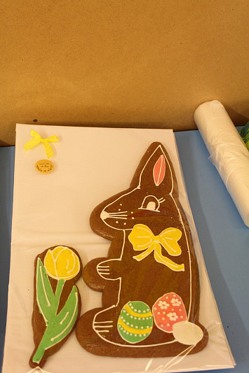 Maškarní bál v Kasejovicích