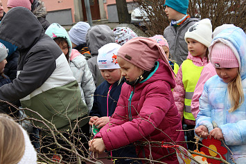 Zdobení velikonoční břízy na kasejovickém náměstí